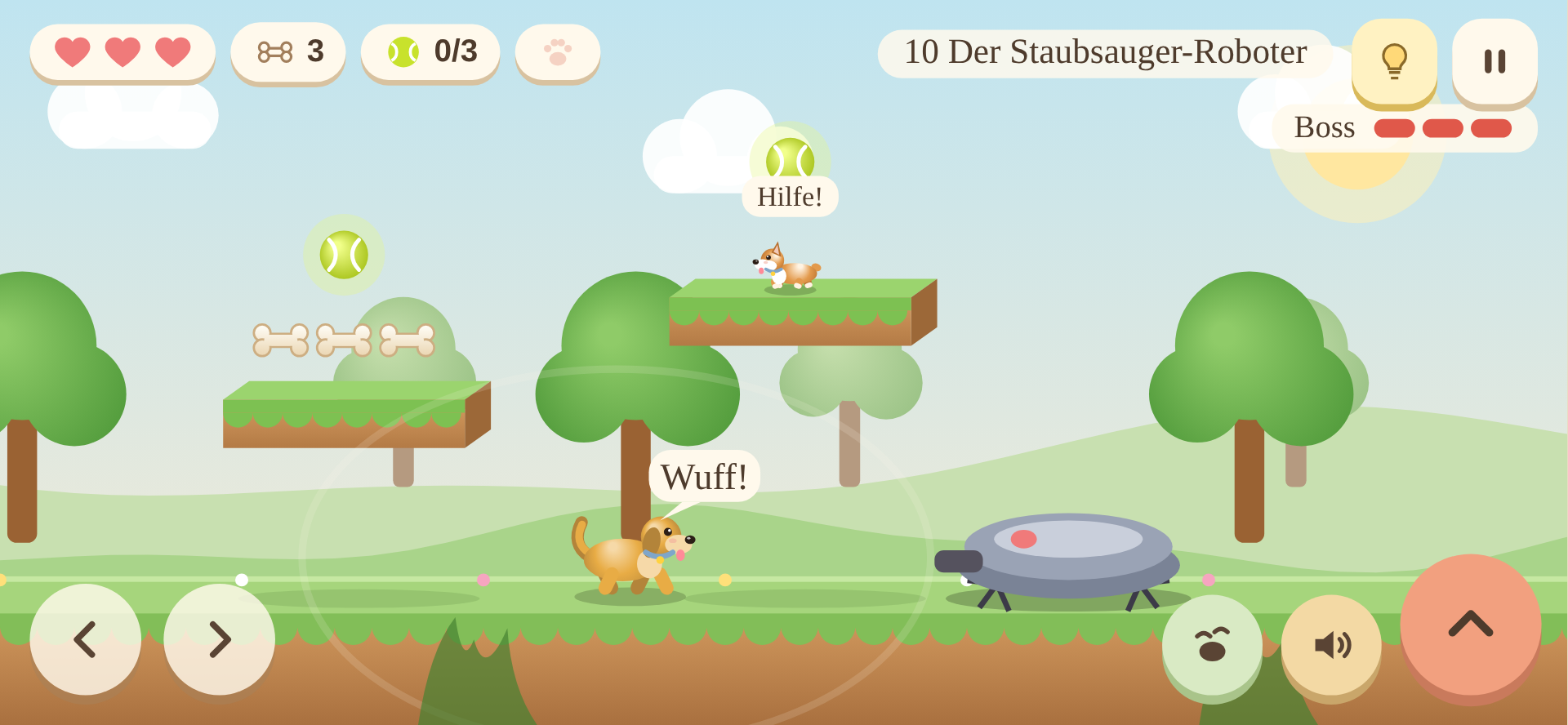 Boss: der Staubsauger-Roboter